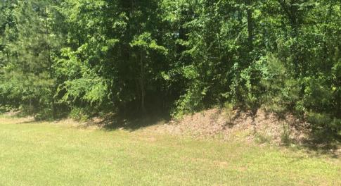 Screenshot_20240729-153239~3