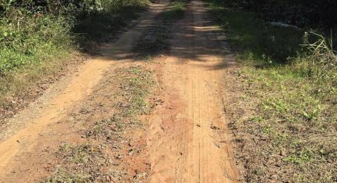 20241116_120333 (1) (1)