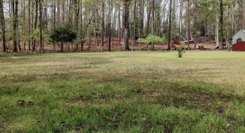 IMG_20250331_124545546_HDR