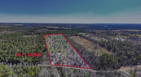 Bluffwood Rd 3.22.25 outline-1