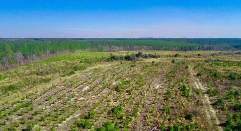 20250228143258200602000000-o