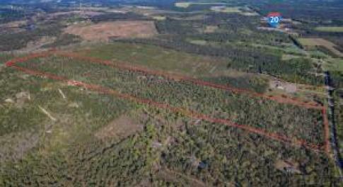 20250523044111546360000000