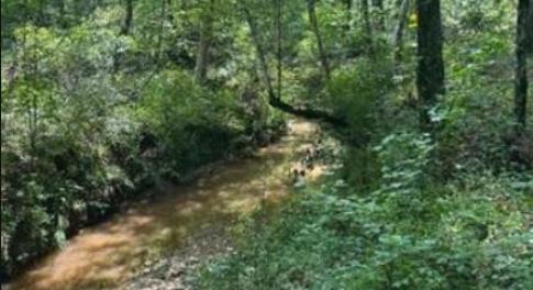 Screenshot 2025-08-19 091625