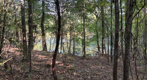 land