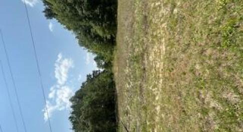barnwell