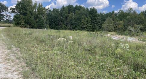 Screenshot 2025-09-19 150107