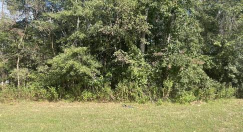 Lot G-15 Front View.