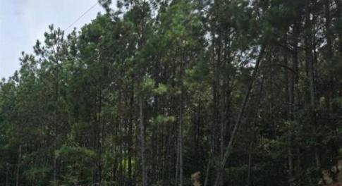 Screenshot 2025-08-19 091638