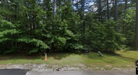 View from Road, Rhett Drive