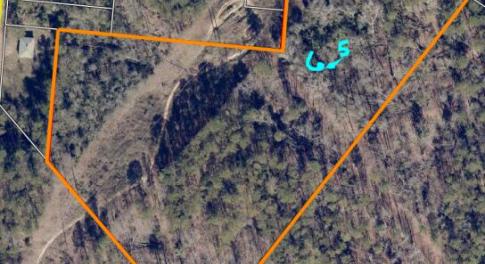 6.5 ac bradleyville Harmon side