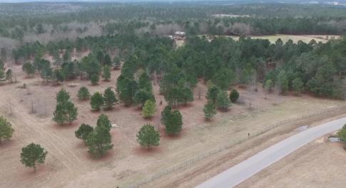Lot Picture
