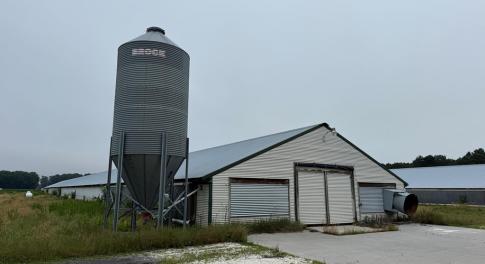 Main View