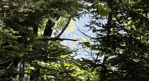 Mountain views in the winter!