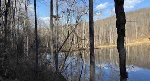 Lake photo just a representative photo of the larger 93 acres. the 15 acre parcel will not have access to the lake.