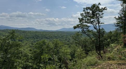 ...from Top of Ridge - 7.18 Acres Building Lot in Nature Lover's Paradise!  Fiber Internet!