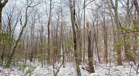 Nice seasonal mountain and sunset views from this generous 0.7ac lot.