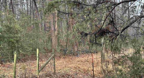 Property starts here.