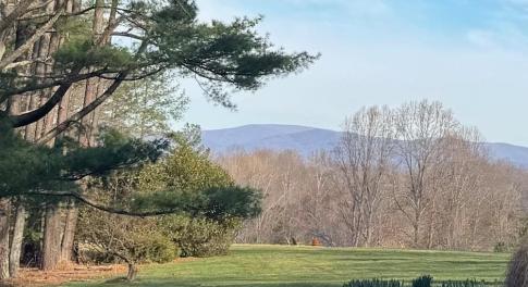This is the view from house next door.  This parcel offers this potential with more clearing.