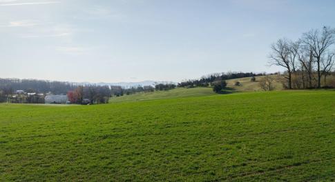 Could be a great site for a home with a walk out basement.