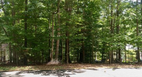Welcome to 0 Bolling Circle, a .34 acre plot of land ready for your Lake Monticello home!