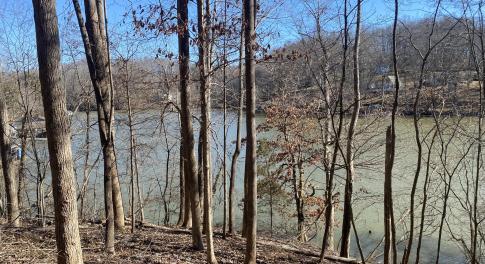 Lakefront Lot 29 Lake View Pointe