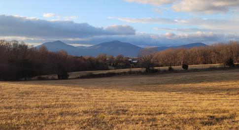 Land view