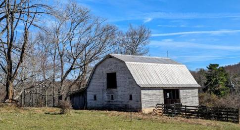 PXL_20241113_174221763~2