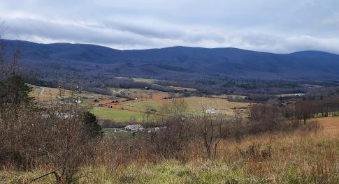 Lot view