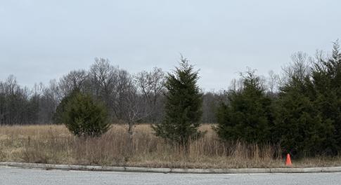 IMG_0022