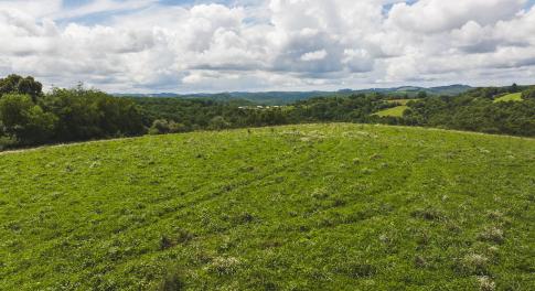 DJI_20240807144042_0334_D