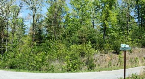 Tract 5 Laurel Run