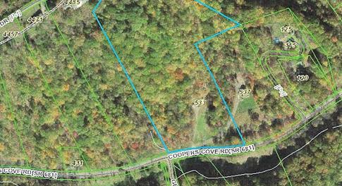533 Coopers Cove GIS Aerial1