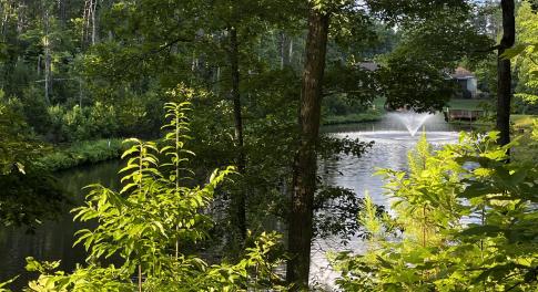 Pond-front Lot 359 Clear Pointe Run