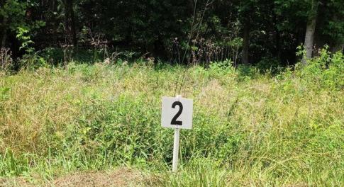 Lot 2