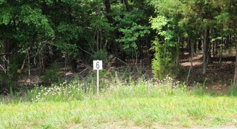 Lot 6 Dillards Hill Rd