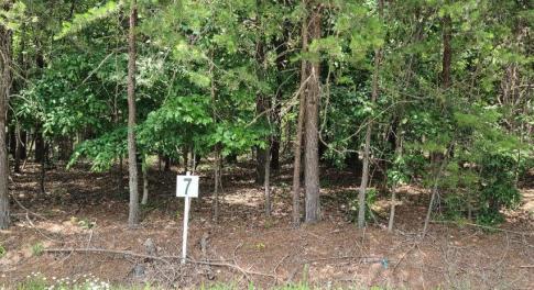 Lot 7 Dillards Hill Rd