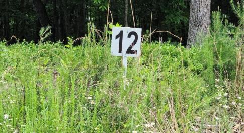 Lot 12 Belle Isle Dr