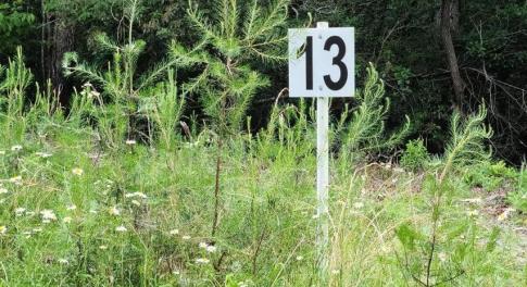 Lot 13 Belle Isle Dr