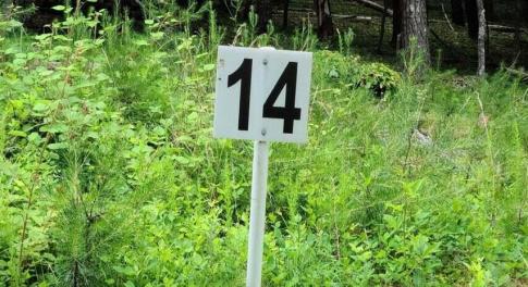 20210629190133969223000000-o