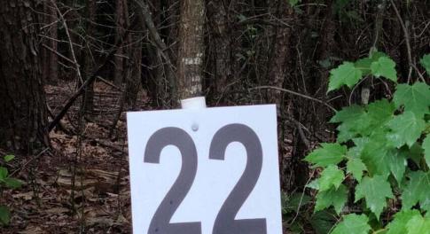 20210629193110552447000000-o