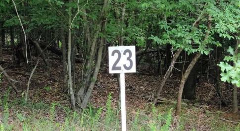 20210629194053381694000000-o