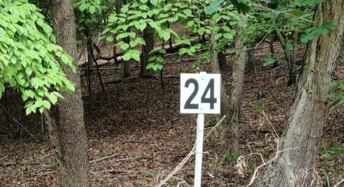 20210629195029831013000000-o