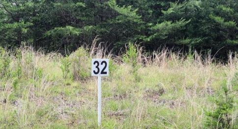 Lot 32 Dillards  Hill Rd