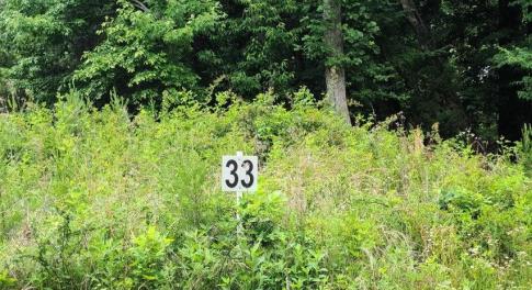 Lot 33 Dillards Hill Rd