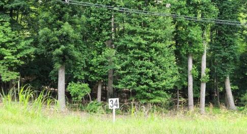 Lot 34 Dillards Hill Rd