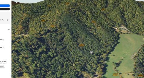 lavender land_002.png