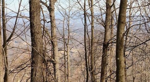 IMG_20250226_122733402_AE