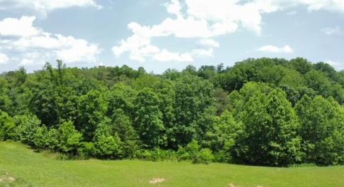 FOR SALE! 5.84 acres