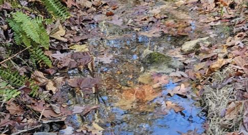 Resized_20241103_115903_1741554036831