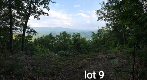 Lot 9